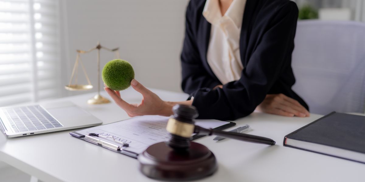 Abogados especialistas en Delitos Medioambientales