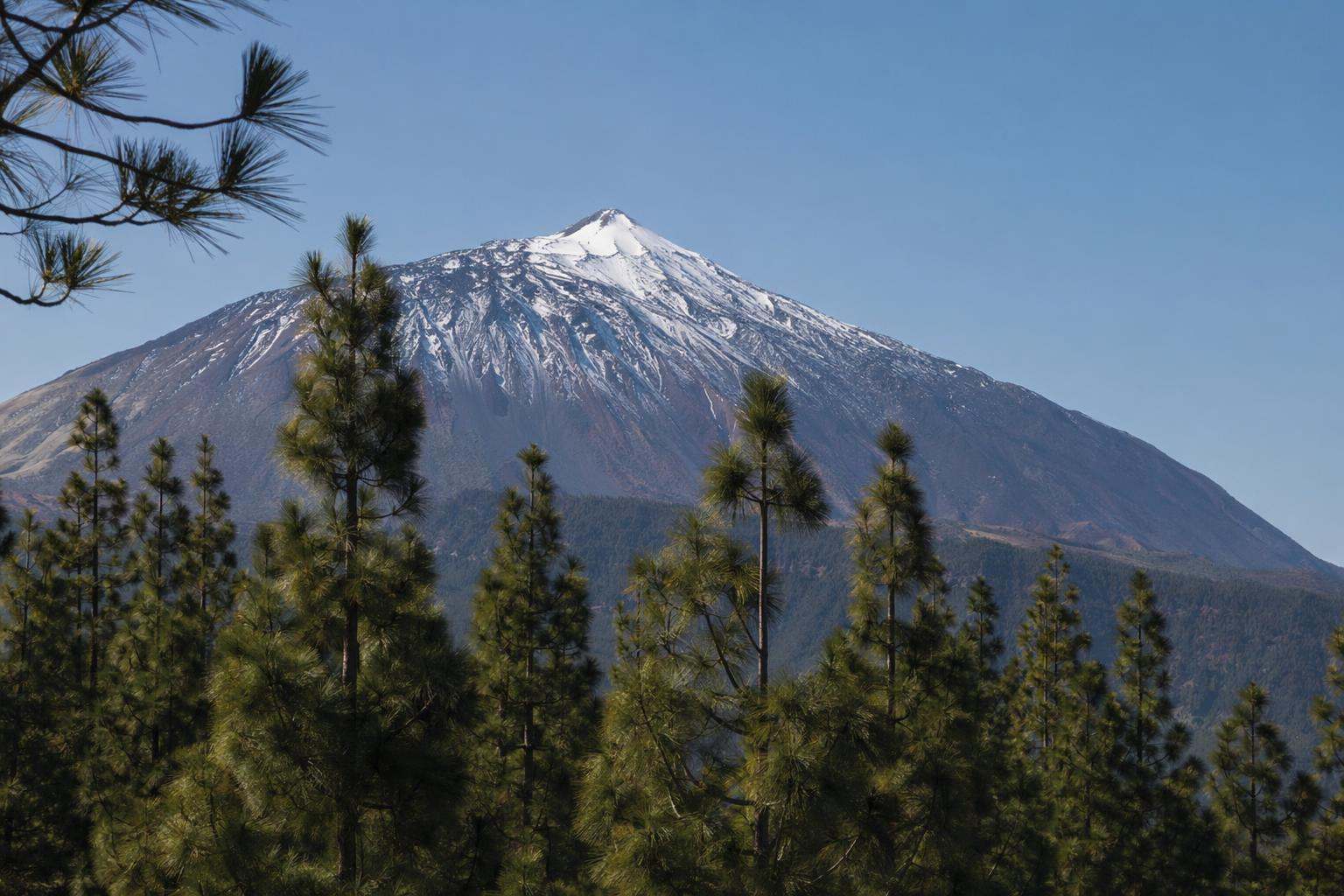 Abogados penalistas en Tenerife — BP Boutique Penal